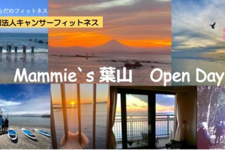 Mammie`s 葉山 Open Day（夏をたのしもう♪）8月30日（金）9:00~17:00